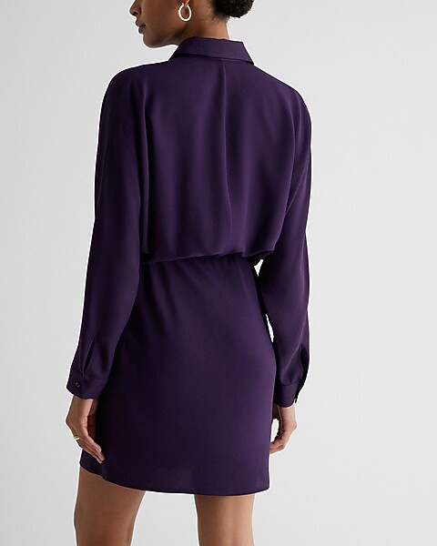 Collared Half Button Front Mini Portofino Shirt Dress | Express