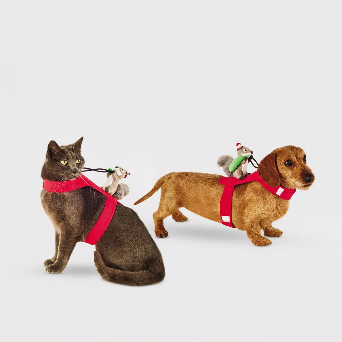 Santa Squirrel Rider Dog Costume - L/XL - Wondershop™ | Target