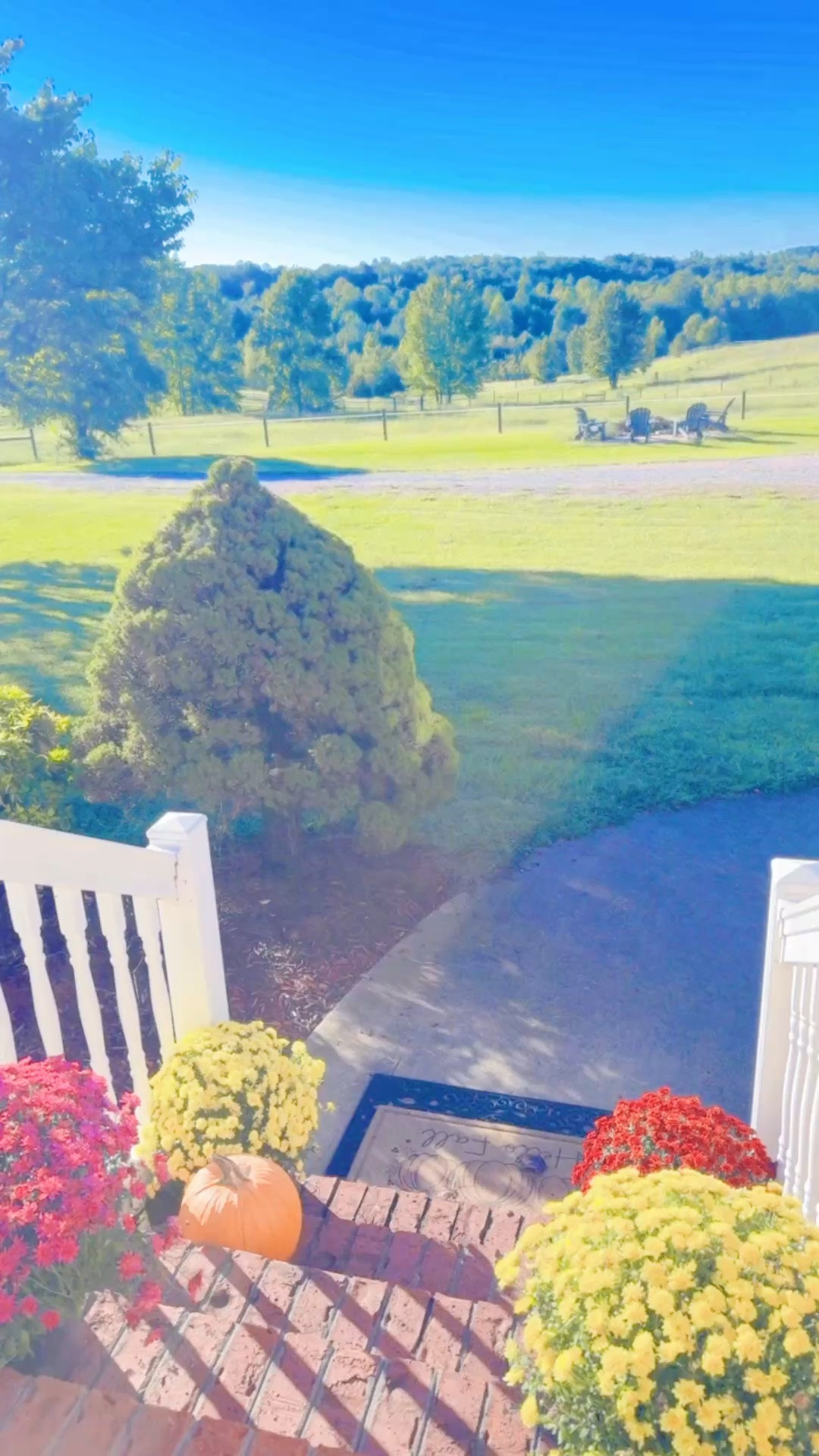 Woke up to the most stunning sunny ☀️ september morning 🌳 here on the farm 🥰 - I always dreamed of a front porch view of our land and long gravel driveway like this… what a dream!!!  💭