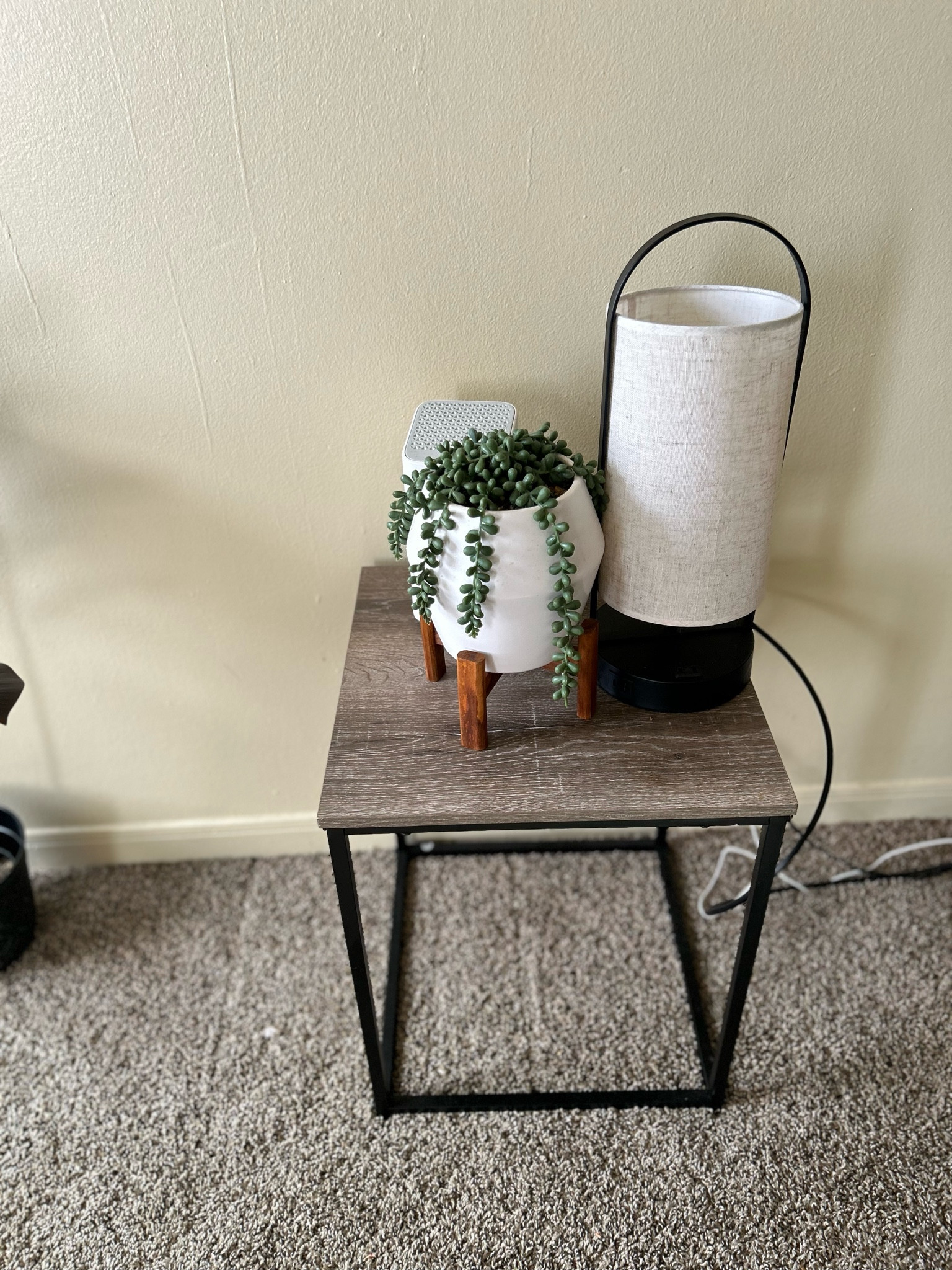 Home decor perfect for any apartment setting 🤍

#LTKStyleTip #LTKHome #LTKSaleAlert