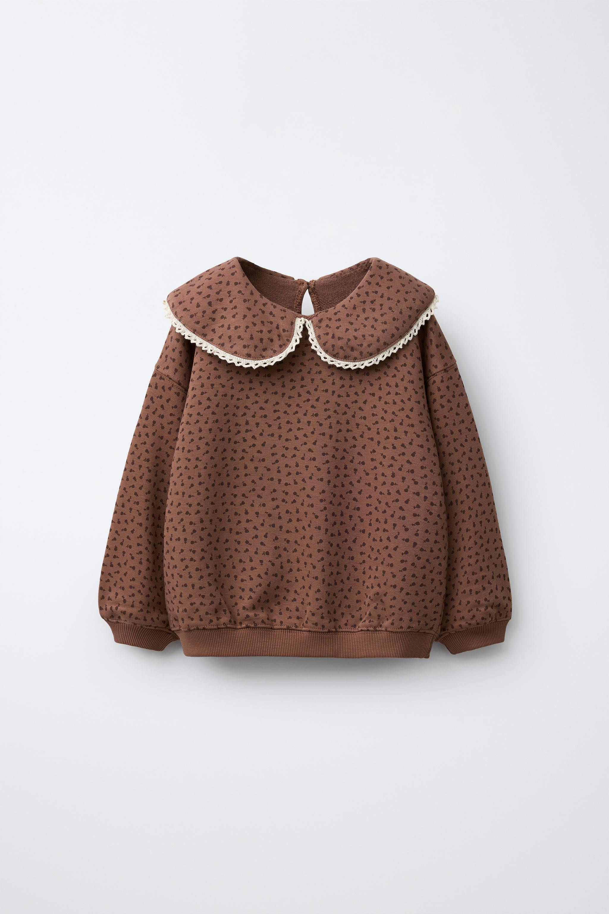 PETER PAN COLLAR LACE TRIM PRINTED SWEATSHIRT | Zara US