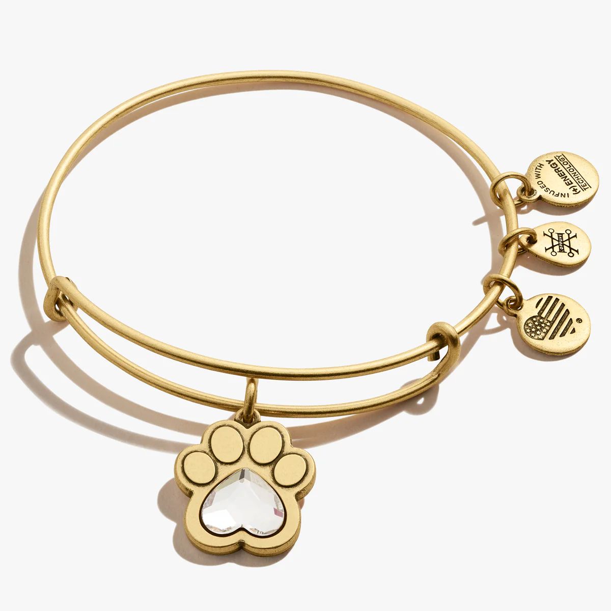 Crystal Paw Prints of Love Charm Bangle Bracelet | Alex and Ani