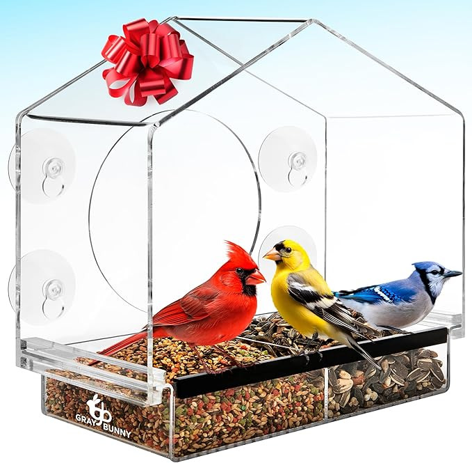 Window Bird Feeder with Strong Suction Cups (Clear) Bird Feeders for Outdoors with Drain Holes, R... | Amazon (US)