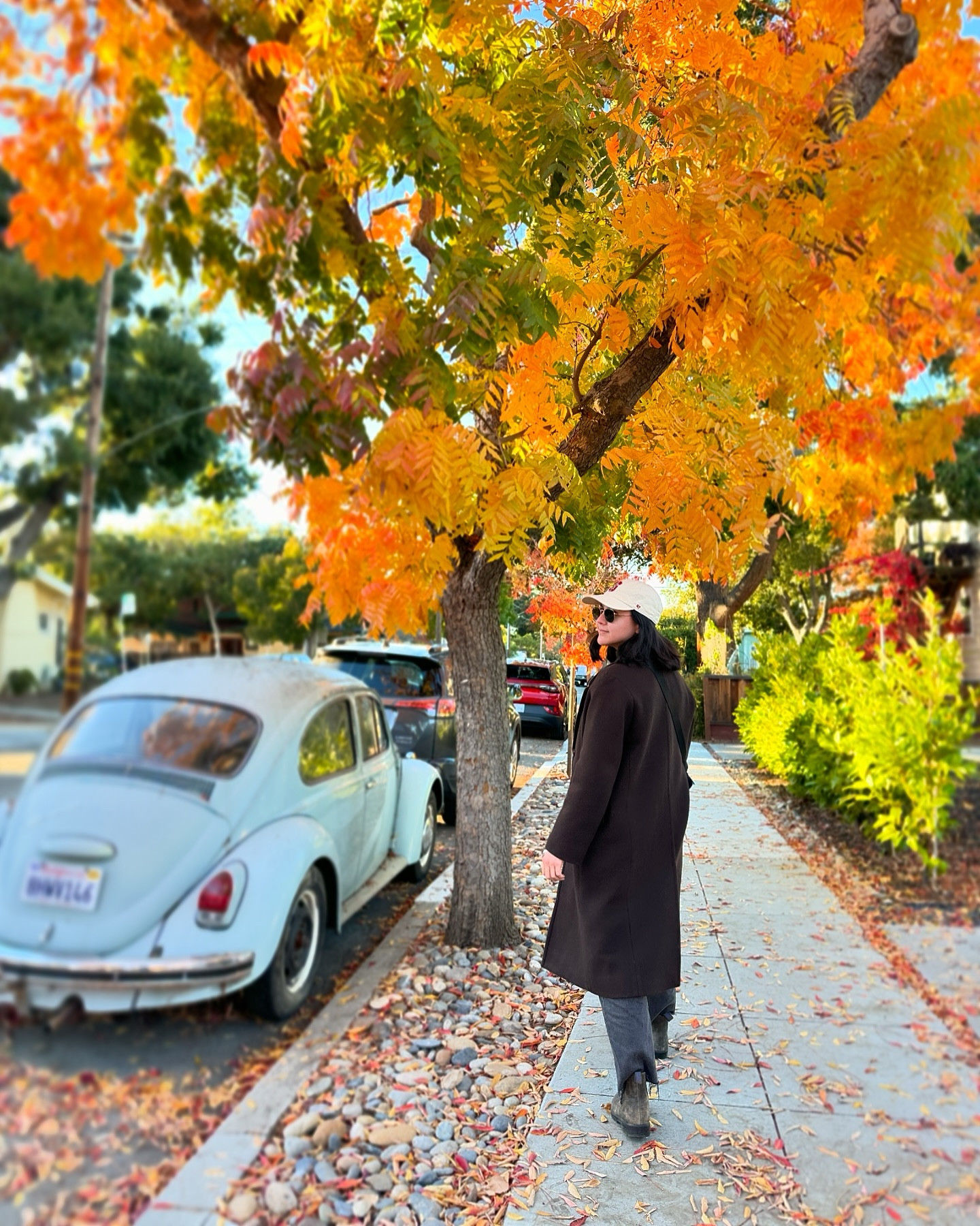 Just a SoCal girl loving all of the fall foliage in the Bay Area 🍂🍁🍃

#bayarea #fallfoliage #residency #residencylife #madewell #blundstone #jcrew #rayban #lululemon