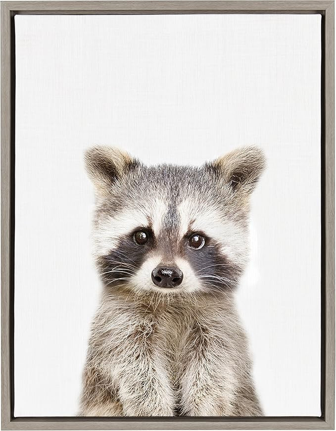 Kate and Laurel Sylvie Raccoon Framed Canvas Wall Art by Amy Peterson, 18x24, Gray | Amazon (US)