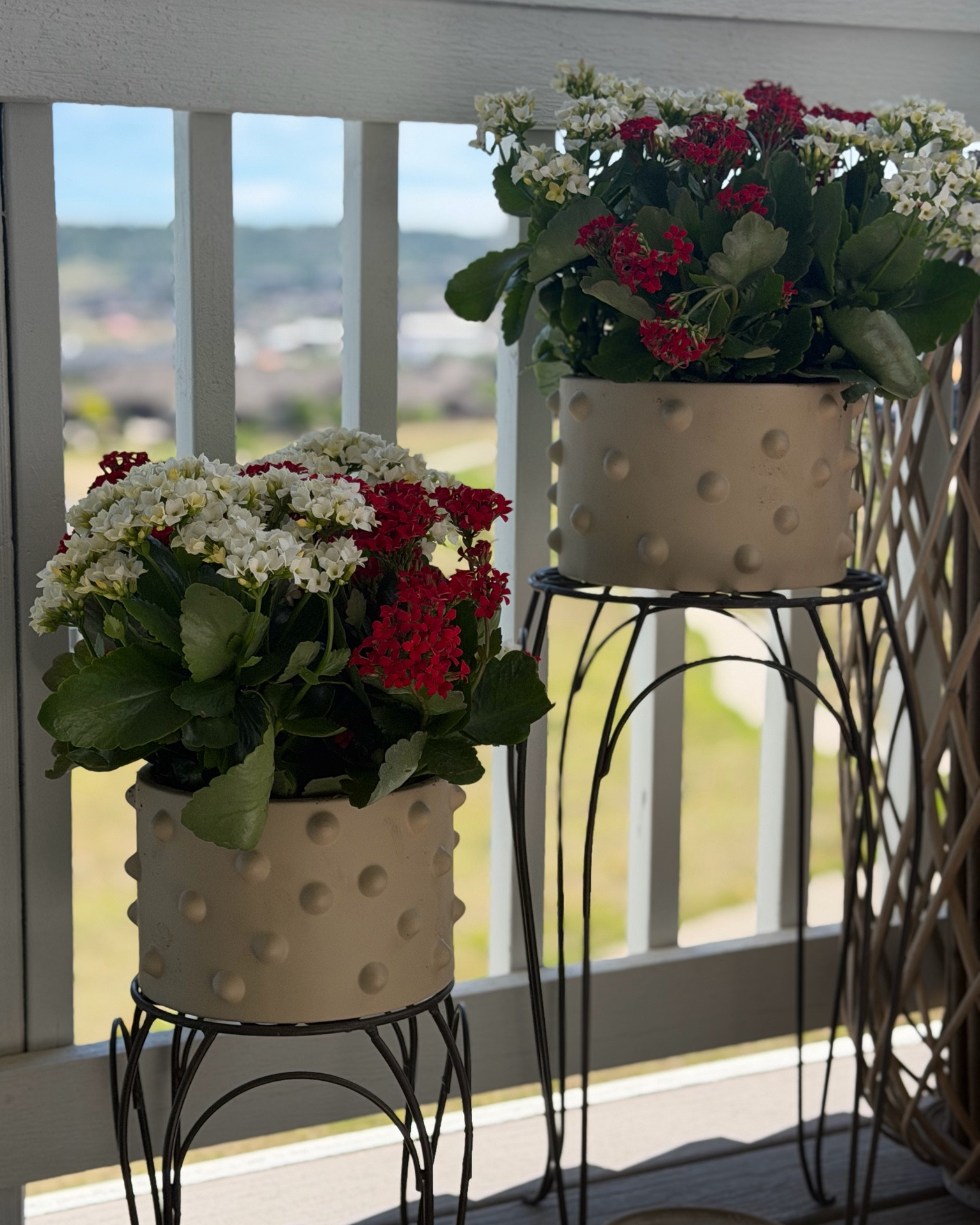 Pots on clearance!

#LTKSeasonal #LTKHome #LTKSaleAlert