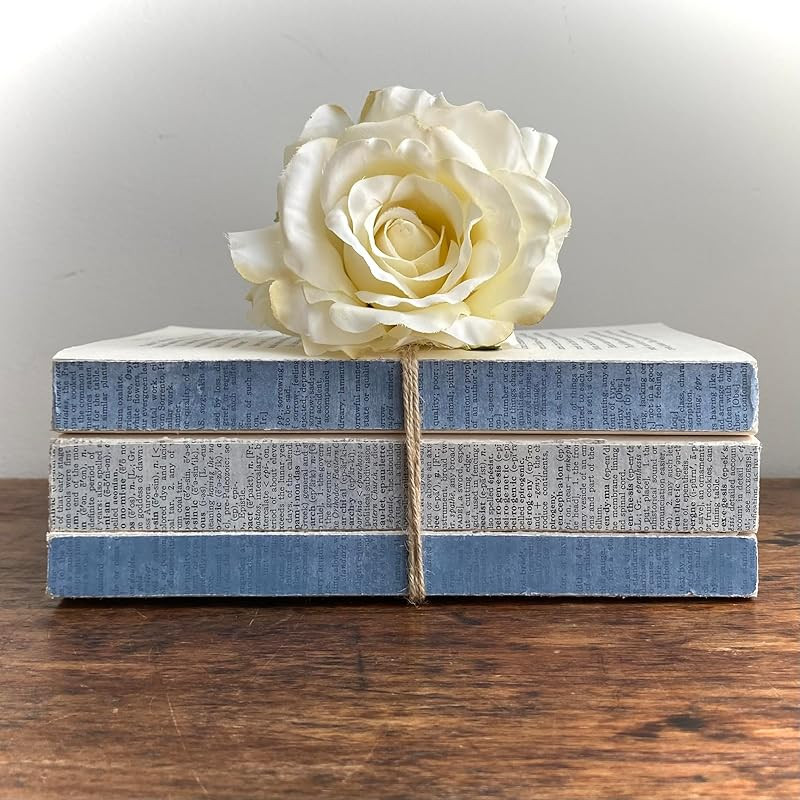 Light Blue Books, Dusty Blue Book Stack, Inspired by Faded Jeans, Mixed Denim Colors (3 Book Stac... | Amazon (US)