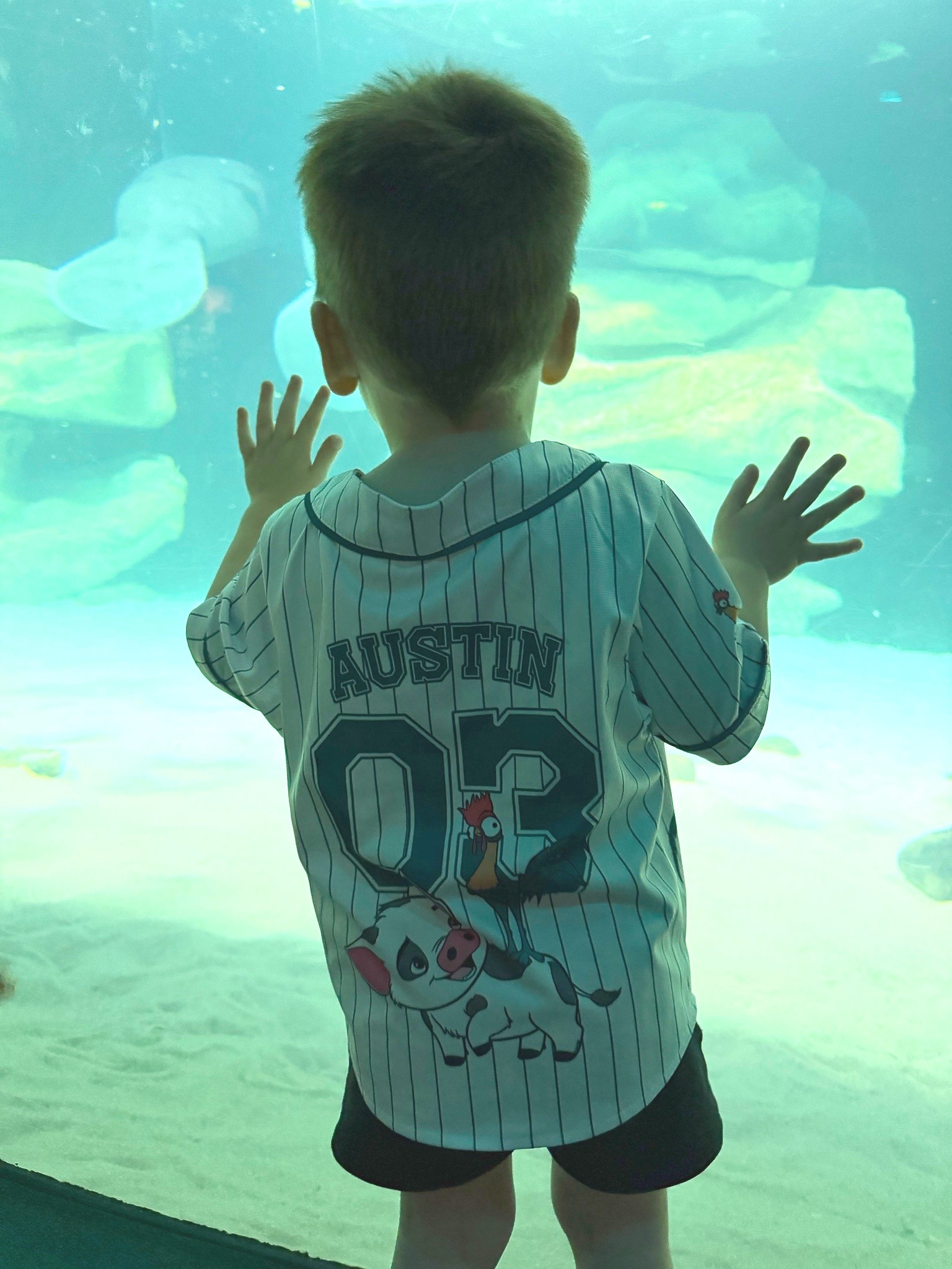 The cutest infant & toddler jersey for an Epcot day. 

We Disney bound-ed as a Moana family for our recent trip and both boys had custom jerseys with HeiHei and Pua on them 

Epcot | Disney | Disney bound | family outfit | matching | mom match | brothers

#LTKTravel #LTKKids #LTKBaby