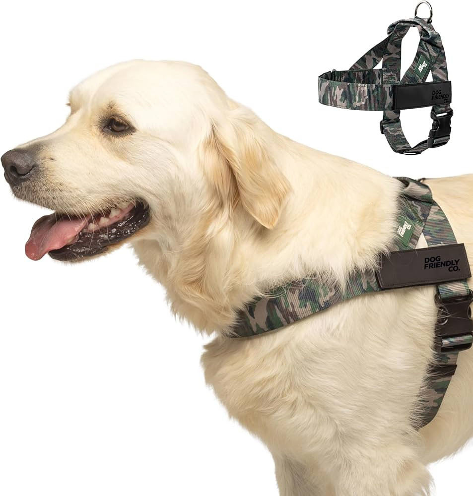 Dog Friendly Co. Dog Harness | Chafe Resistant Webbing, Adjustable Neck & Chest, and Heavy Duty D... | Amazon (US)