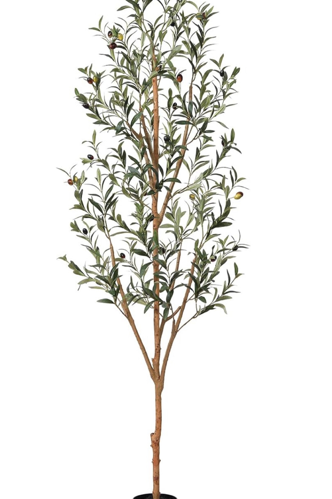 For my plant lovers who aren’t true best with real plants this is perfect to have the feeling of real plants indoor and it’s super low maintenance.

Faux plants, olive tree, faux indoor plants, tall faux indoor plants, Amazon decor, home decor , Amazon finds , bedroom decor, entryway decor , office decor 

#LTKStyleTip #LTKGiftGuide #LTKHome