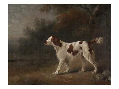 Setter | Heirloom Print Shop