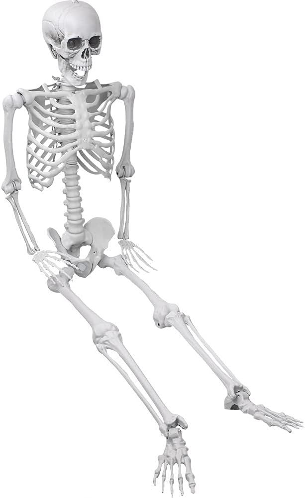 XONOR 5.4ft/165cm Halloween Skeleton - Halloween Human Skeletons Full Body Bones with Movable Joi... | Amazon (US)