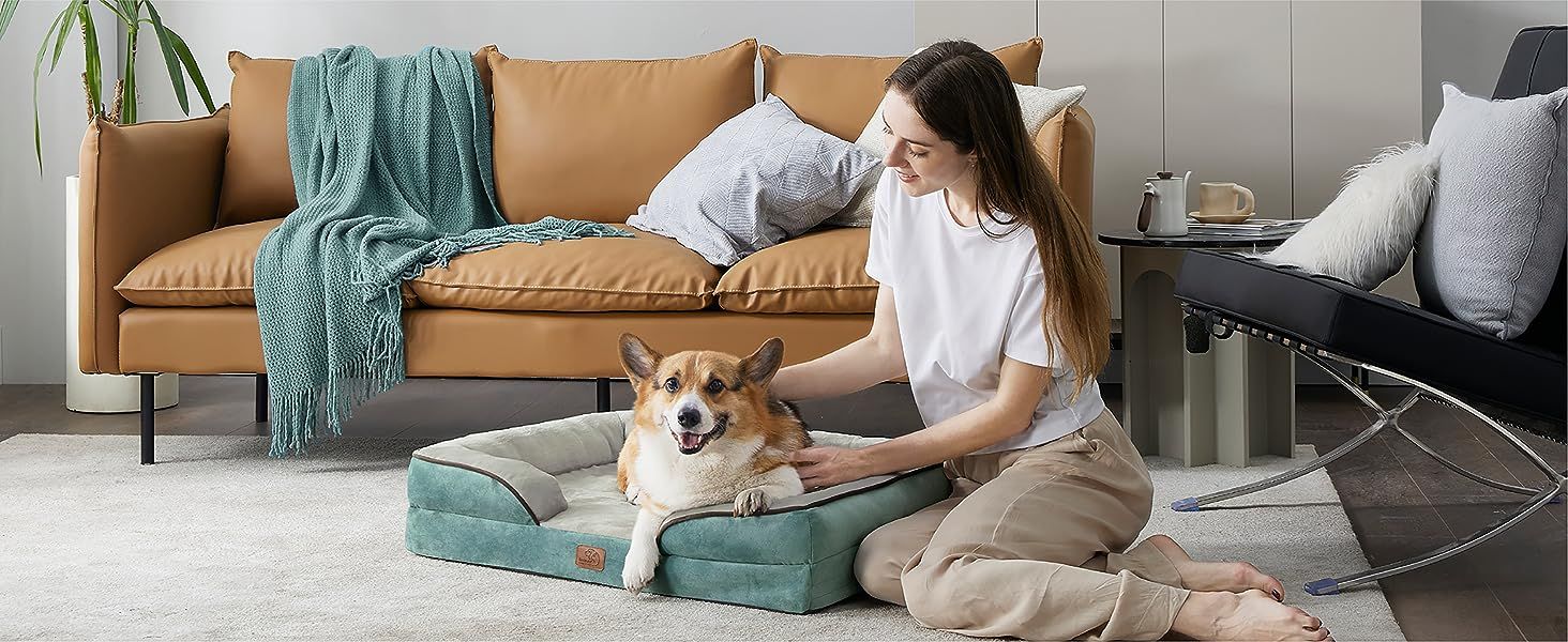 Amazon.com : Bedsure Orthopedic Small Dog Bed, Bolster Dog Beds for Small Dogs - Foam Sofa with R... | Amazon (US)