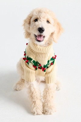 The Foggy Dog Holly Bobble Dog Sweater | Anthropologie (US)