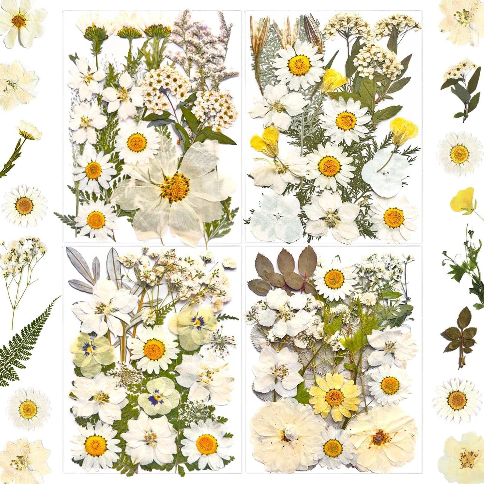 MIKIYA 90Pcs White Dried Pressed Flowers for Resin Molds, Real Natural Bulk Dry Floral Leaves for... | Amazon (US)