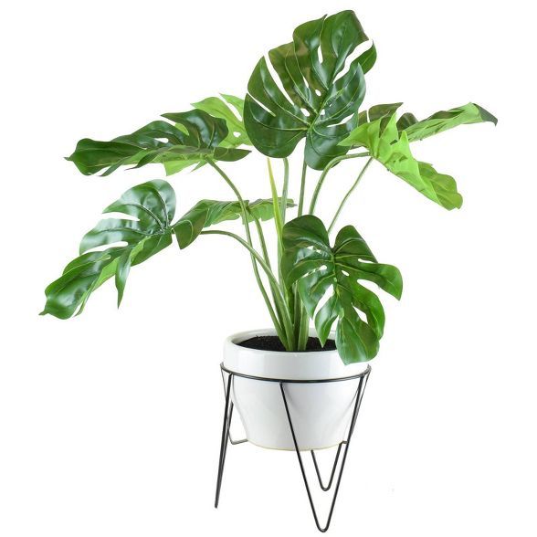 28" x 18" Artificial Monstera in Mid Century Stand White - LCG Florals | Target