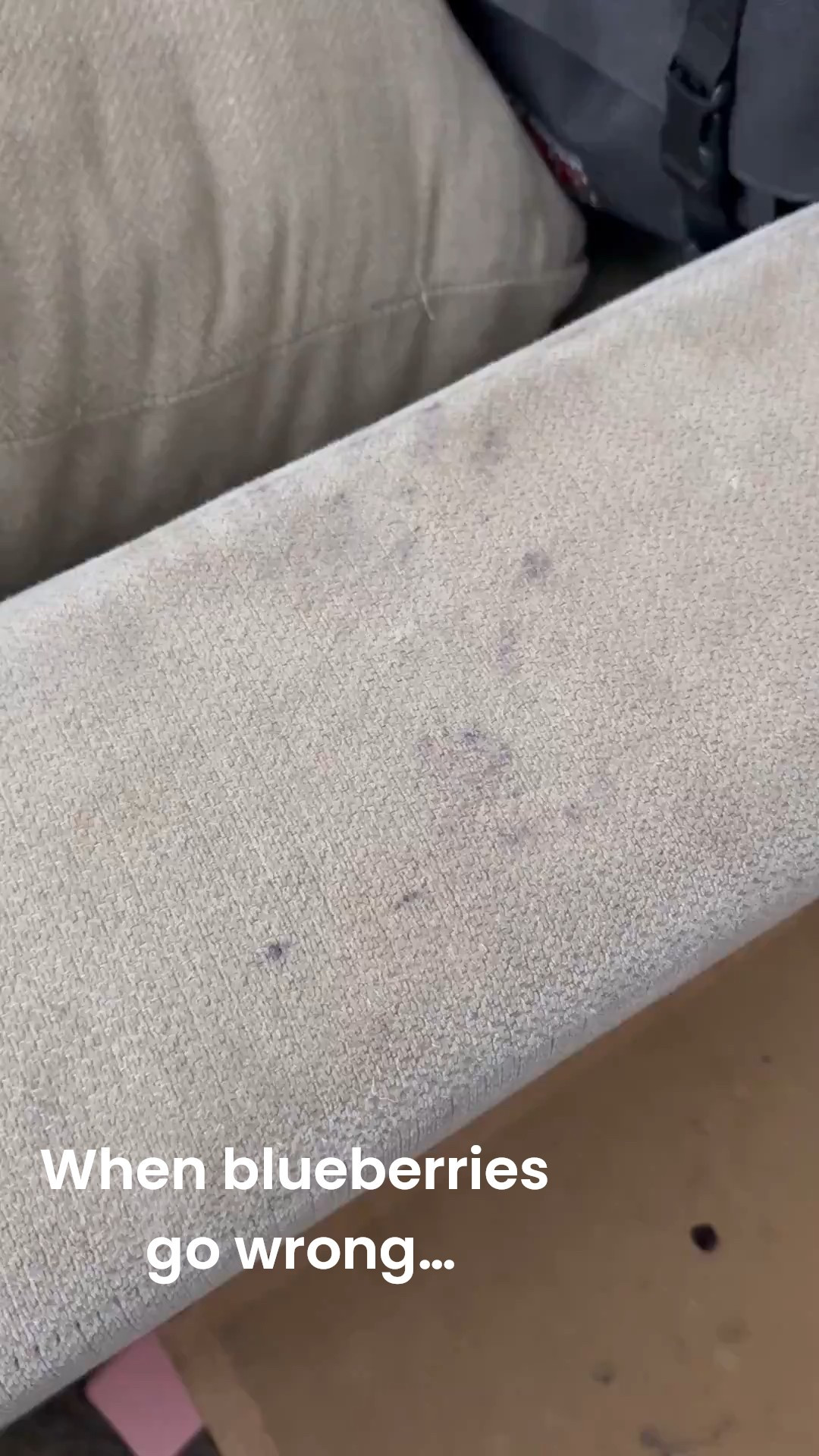 When you give your toddlers blueberries and immediately regret it… but this spray is magic for berries and berry stains! It’s so great on blowout stains too. 

#LTKKids #LTKFamily #LTKBump