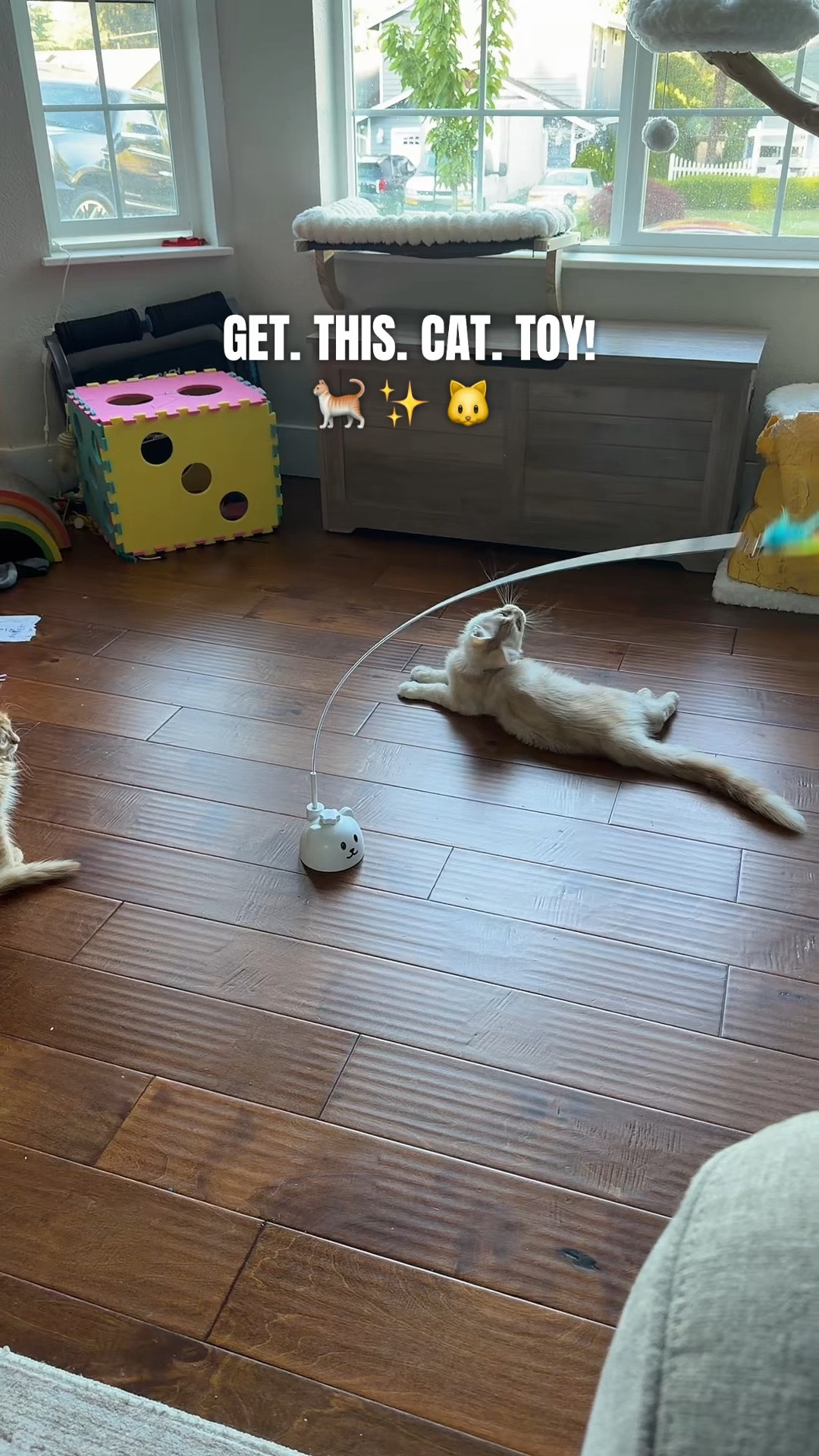 A cat toy that will entertain your cats for you, but it's really fun to watch them play with it!
#CatToy #CatAccessories #CatMomLife #petowners #indoorcat

#LTKSaleAlert #LTKHome #LTKmomlife