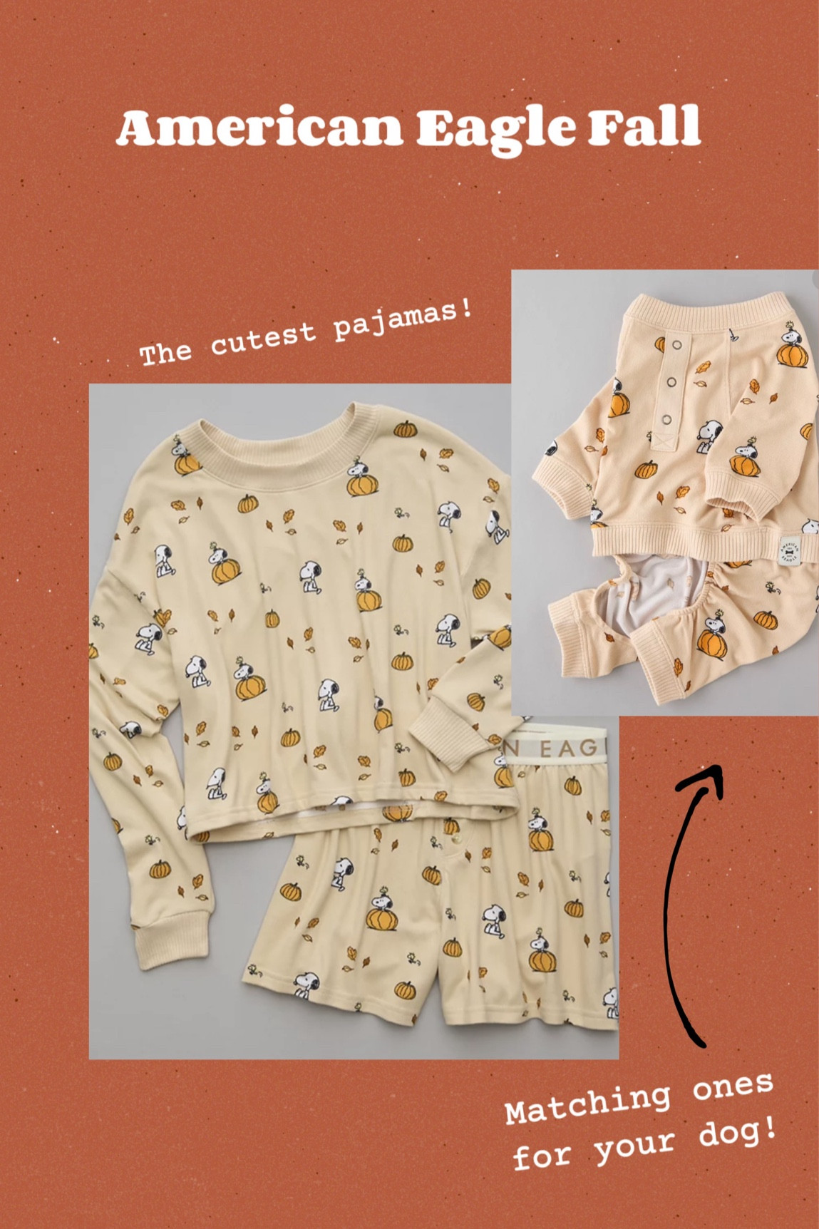 American eagle dropped their halloween and fall items today and it’s beyond cute!! 

#LTKSeasonal #LTKStyleTip