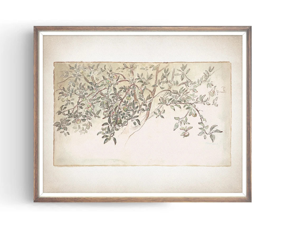 Vintage Apple Tree Sketch  Antique Botanical Drawing  - Etsy | Etsy (US)