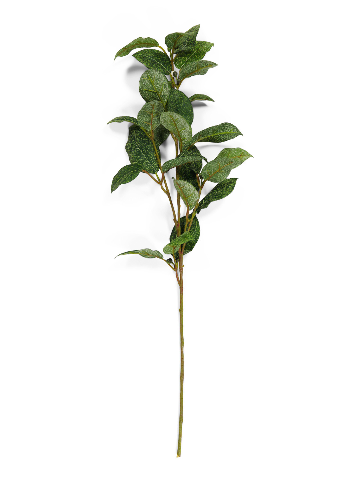 26in Lemon Leaf Spray Stem | TJ Maxx