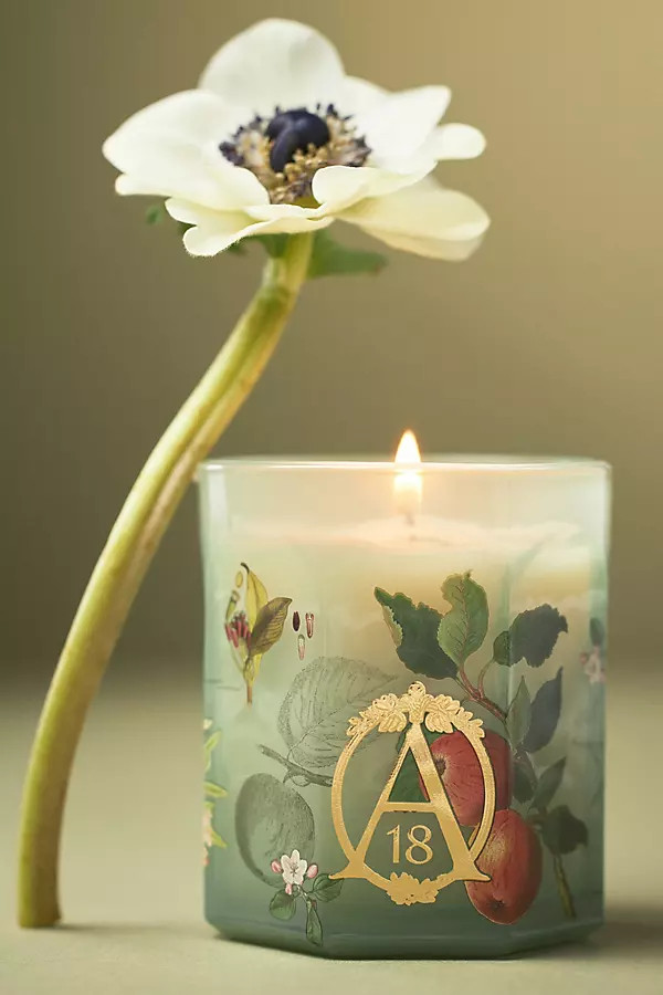 Apothecary 18 Spice Orchard Woods Boxed Glass Candle | Anthropologie (US)