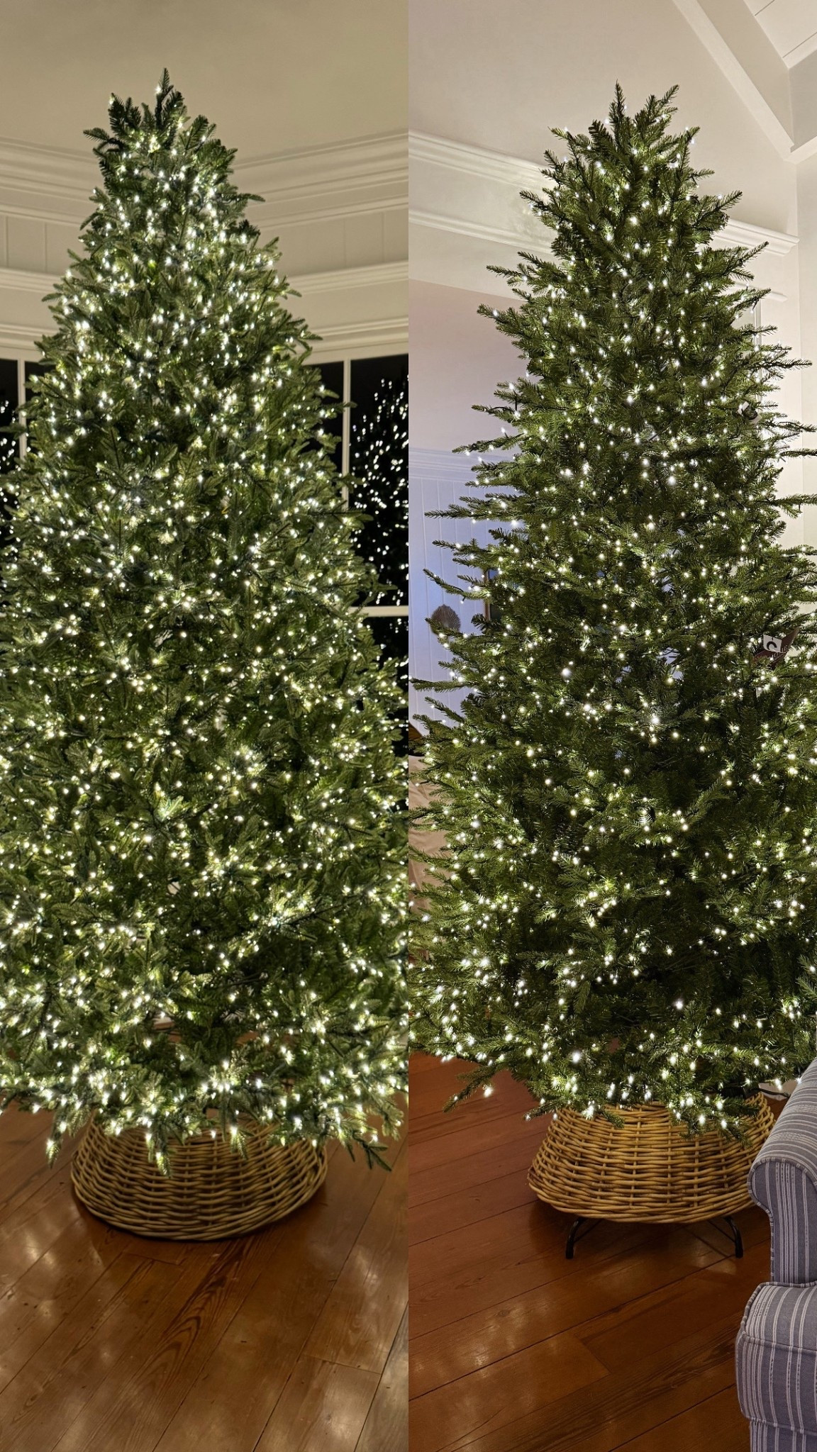 A comparison of both of the viral trees…. here is Lowe’s on the left and Home Depot on the right!
