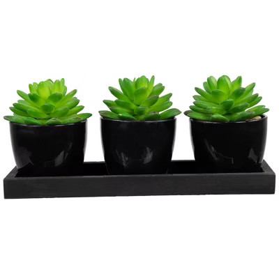 Northlight Mini Artificial Potted Succulents with Wood Planter - 5" - Set of 3 | Target