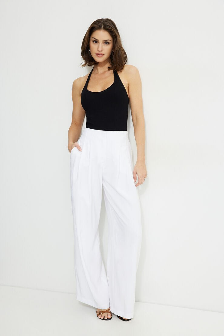 Pleated Wide Leg Pants | Dynamite Clothing