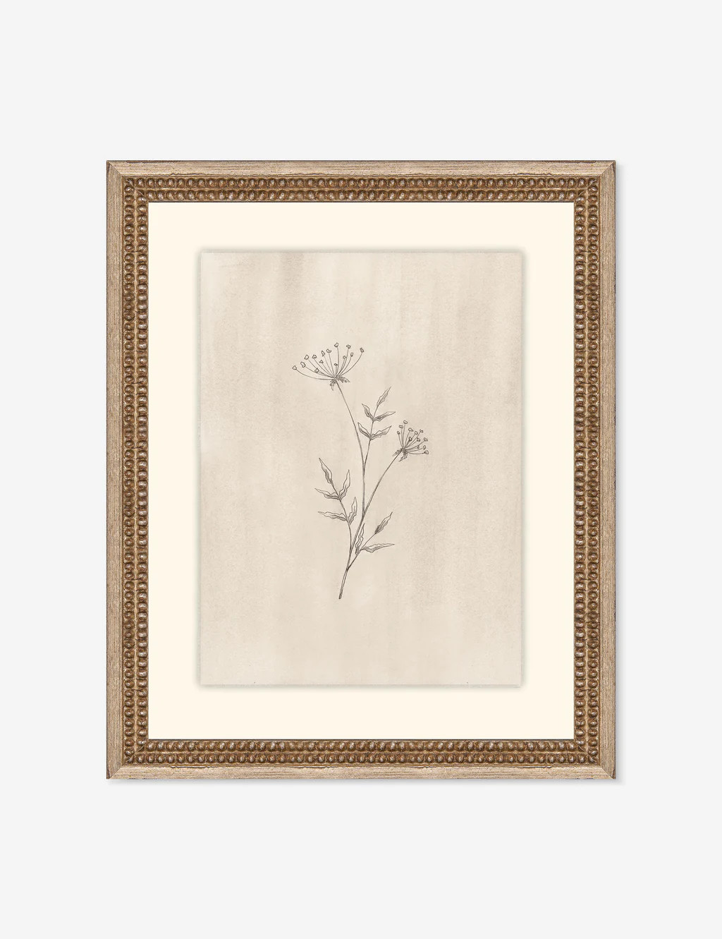 Elegant Botanical IV Wall Art | Lulu and Georgia 