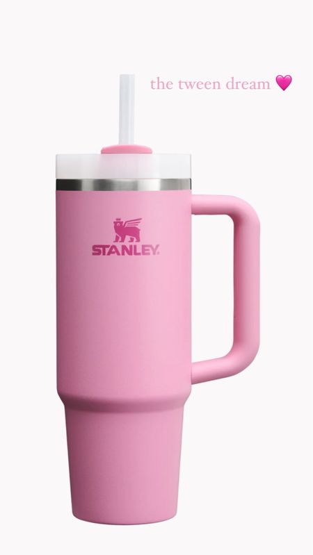 new in: bubblegum pink Stanley 

#LTKfindsunder100 #LTKGiftGuide