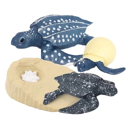 Life Cycle of Leatherback Turtle a Blue Sea Turtle Growth Cycle Model Figure | Walmart (US)