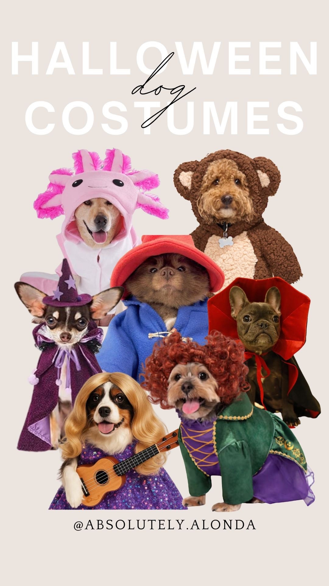 The cutest round up of Halloween pet costumes: dog editionn

#LTKParties #LTKSeasonal #LTKPets