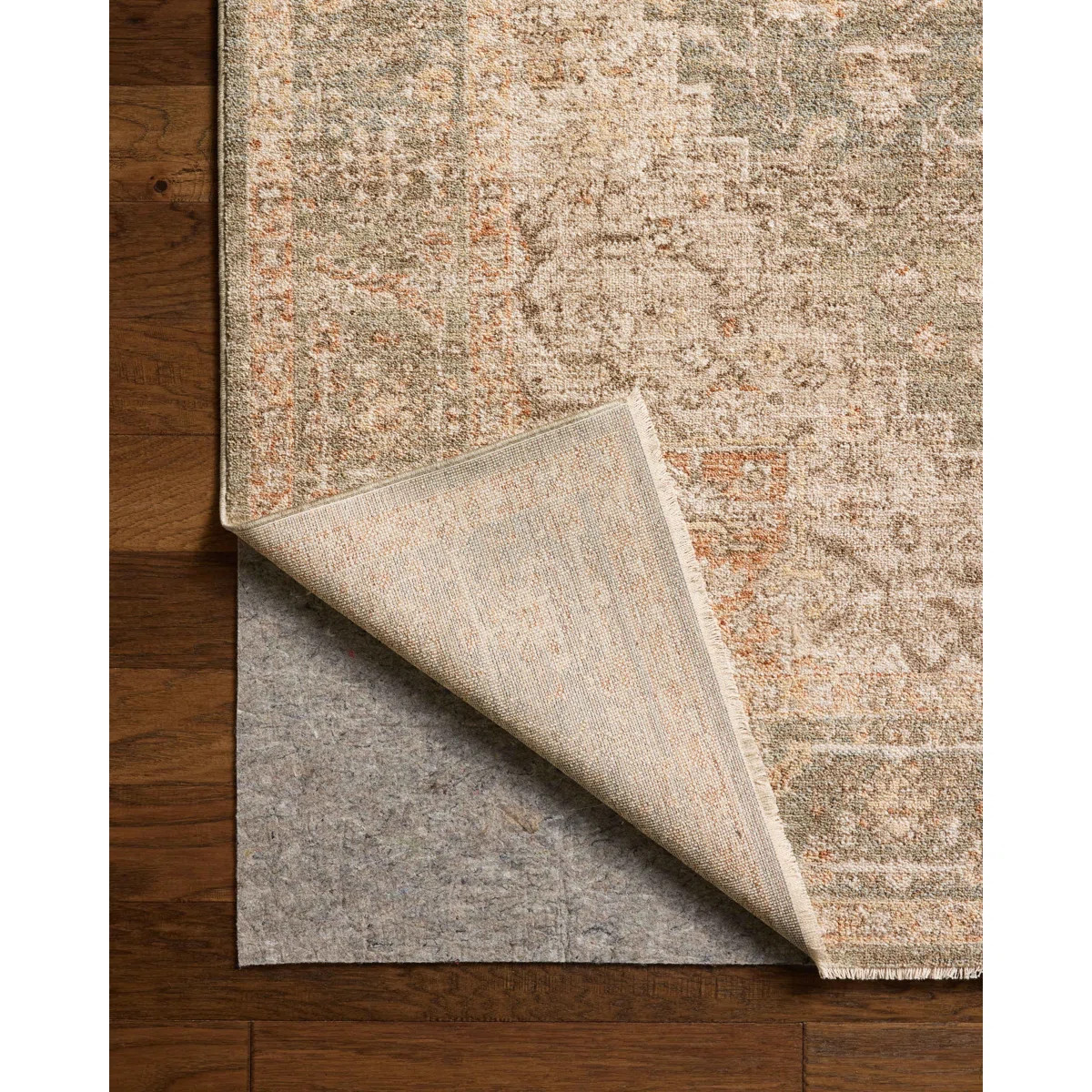 Chris Loves Julia x Loloi Palma Olive / Spice Area Rug | Wayfair North America