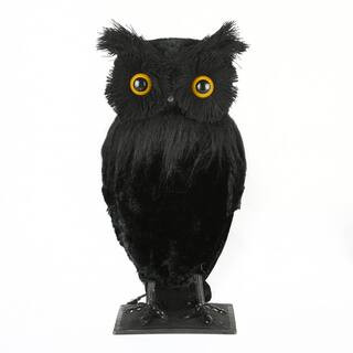 11 in. Eerie Eyes Owl | The Home Depot