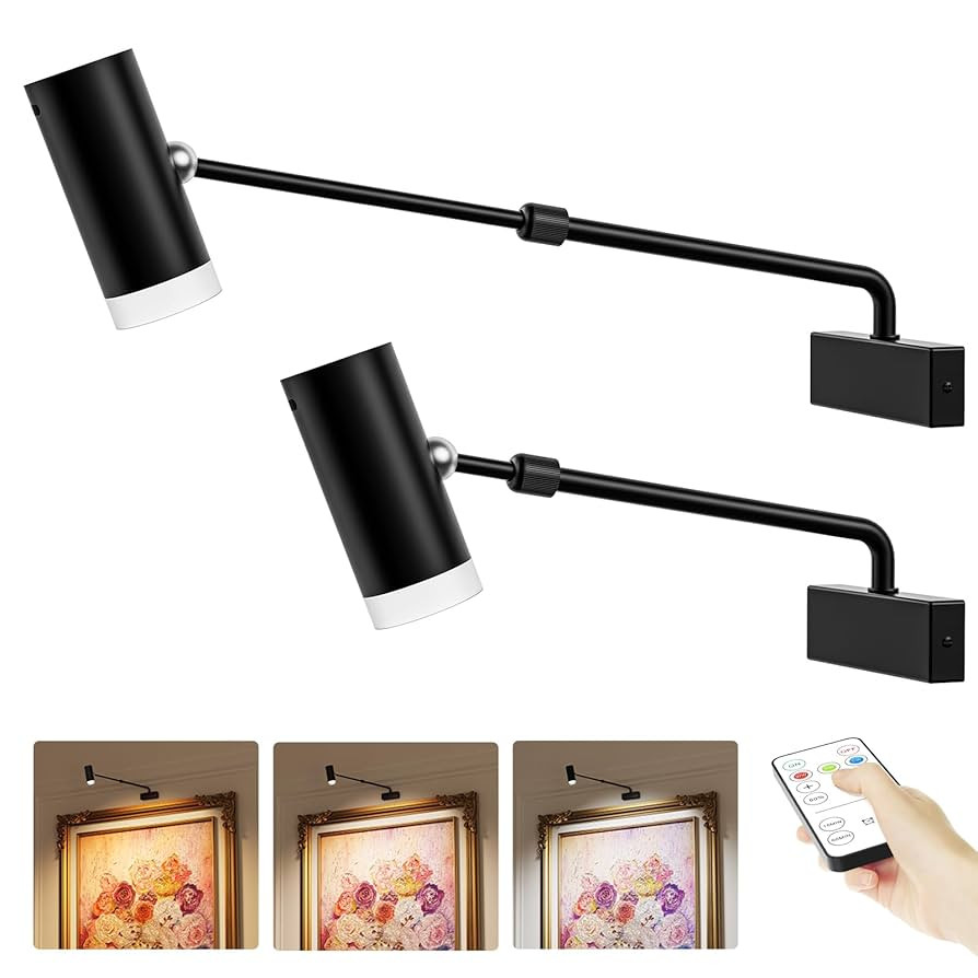 PESUTEN Battery Operated Picture Light, Adjustable Length Wireless Art Light for Paintings CCT Di... | Amazon (US)