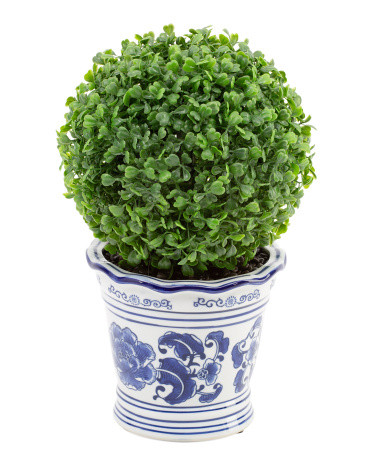 14in Single Ball Topiary In Ceramic Pot | Plants & Planters | Marshalls | Marshalls