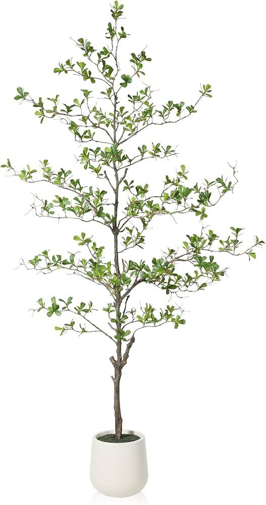 Amazon.com: SOGUYI Artificial Black Olive Tree, 6FT Tall Faux Shady Lady Tree, Fake Tree with Whi... | Amazon (US)