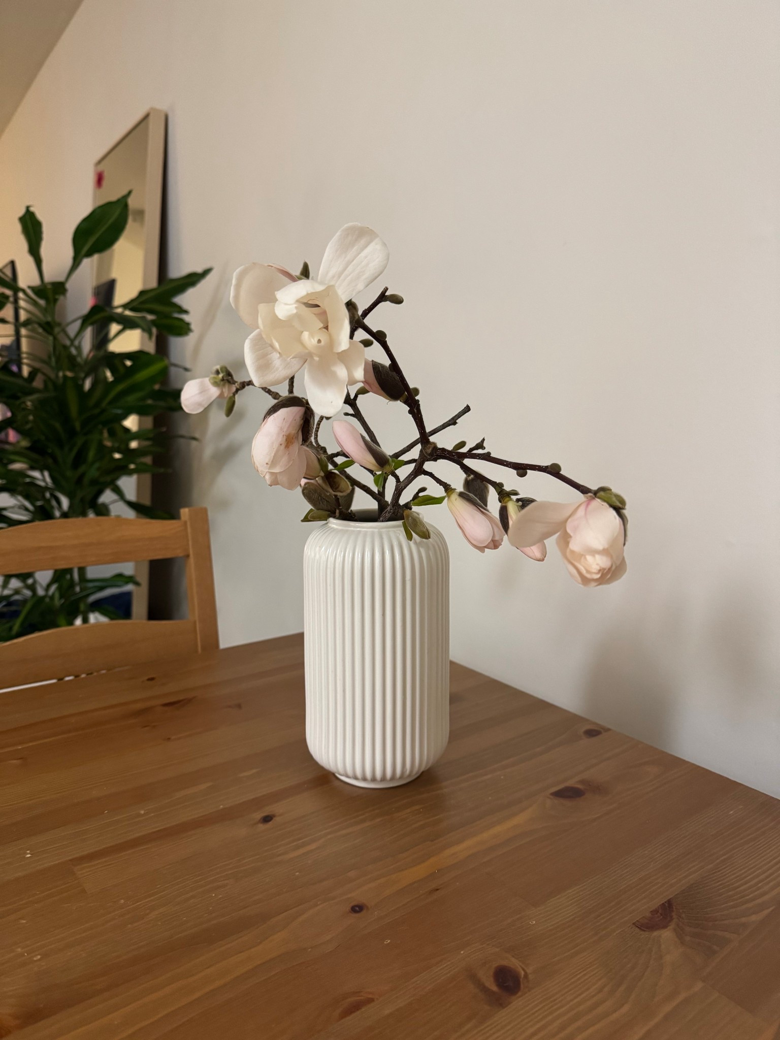 Soft spring touch 🌿
This simple vase + faux magnolia stems instantly makes the space feel fresh and calm. Neutral, minimal, and perfect for everyday decor 🤍

#LTKhome #LTKspring #homedecor #neutralhome #cozystyle

#LTKSeasonal #LTKHome #LTKU