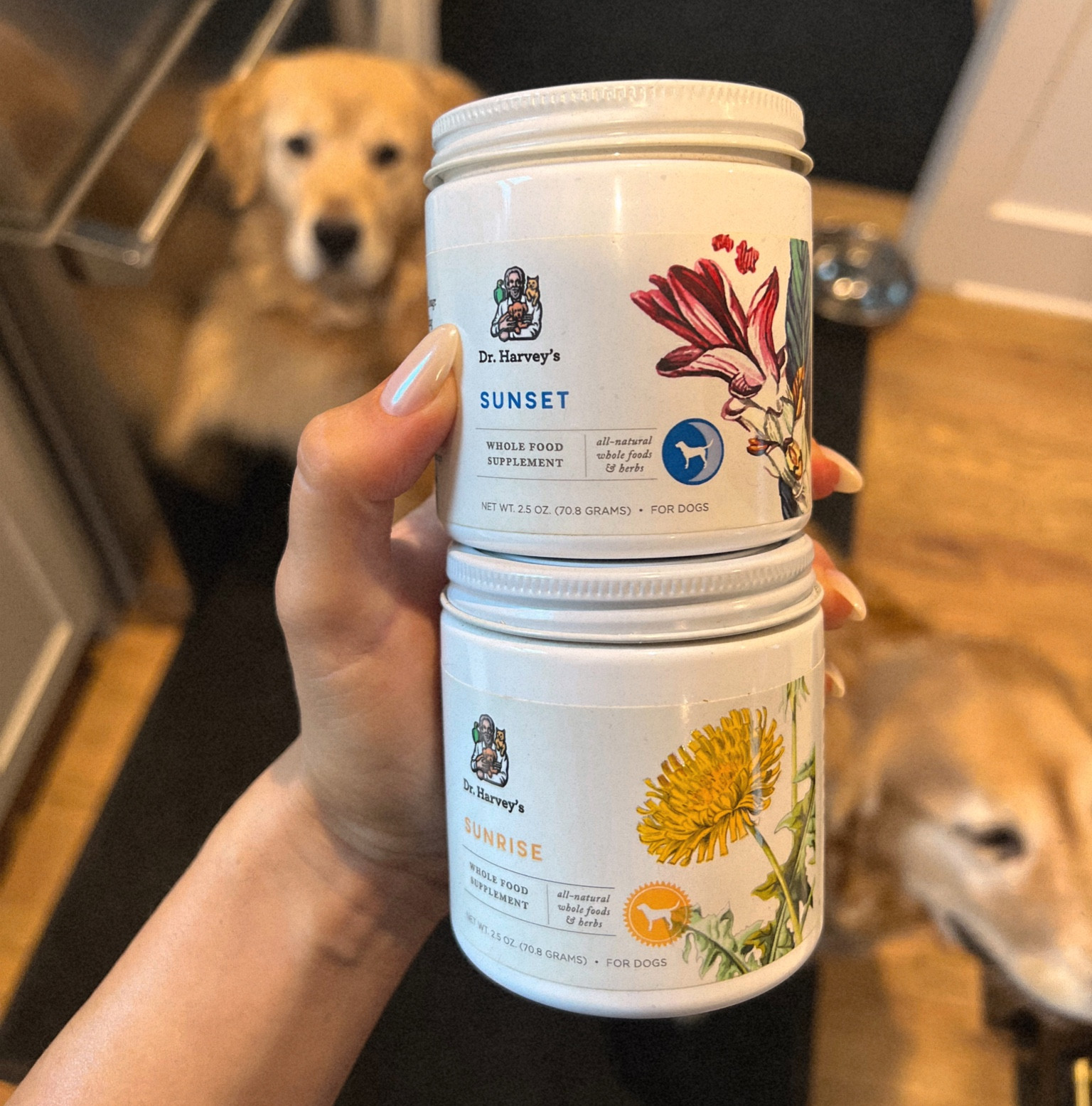 I put this herbal & mushroom supplement in the dogs food every morning and night. Mushroom blends help fight cancer so I started when Rome was battling lymphoma! Love Dr Harvey’s. 

#LTKhome #LTKFind #LTKfamily