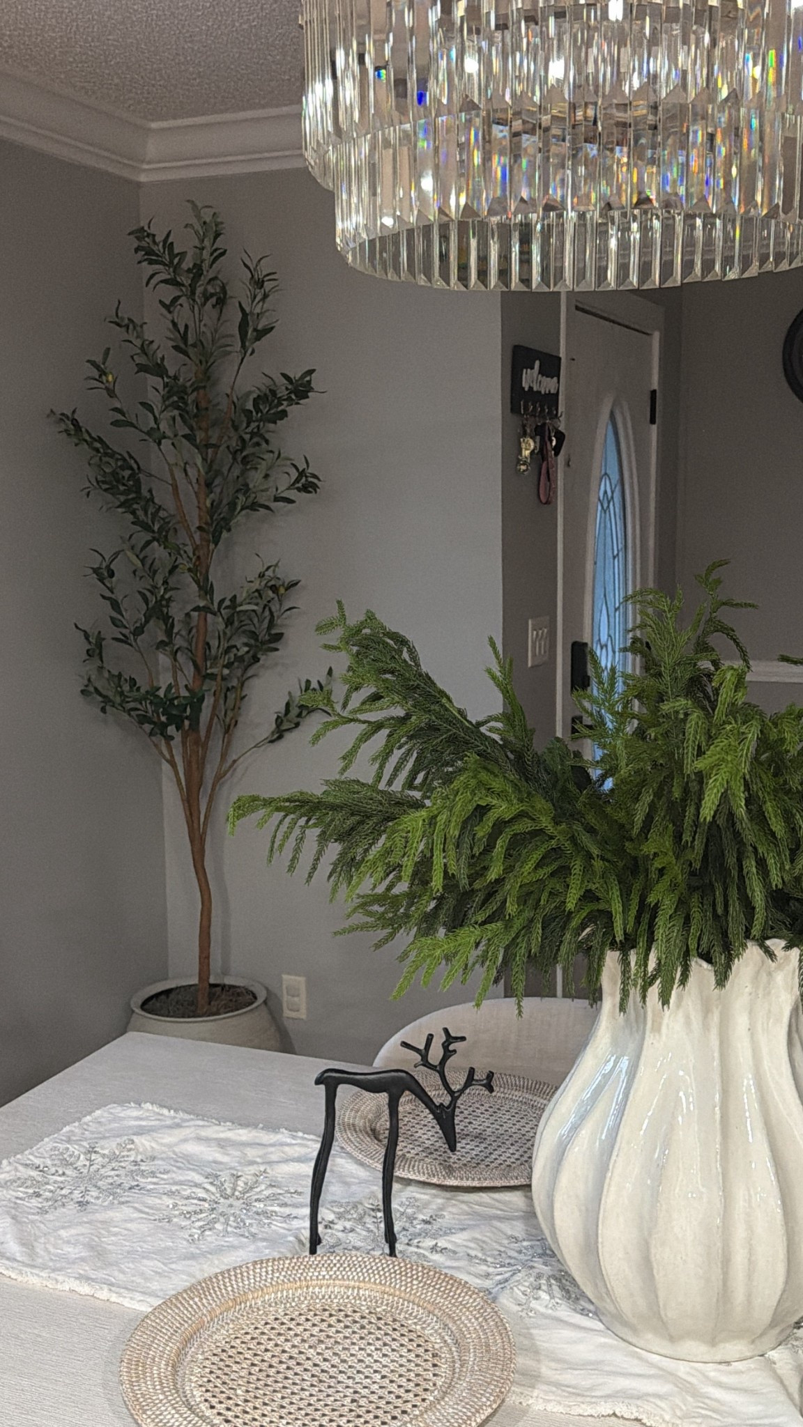 My favorite olive tree 🫒✨😍 

#LTKActive #LTKSeasonal #LTKHoliday