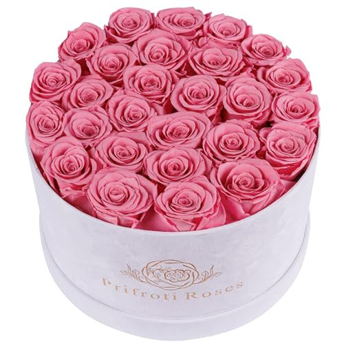 Prifroti 27 Flowers in a Luxury Suede Box, Birthday Gifts for Women, Preserved Flowers, Mothers Day Roses Gift for Mom, Light Pink | Amazon (US)