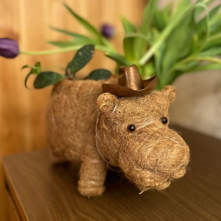 Got this a few months ago, and of course it is still my favorite little planter because of my pup, Hippo! 🌱🦛  If you're into shopping eco-conscious, sustainable, or.. just a hippo fan, grab yours via the link! This planter is made from eco-friendly materials, it's a conscious buy that adds charm to your space while caring for the planet.  #SustainableLiving #EcoFriendlyDecor #ConsciousChoice

#LTKSpringSale #LTKSeasonal #LTKhome