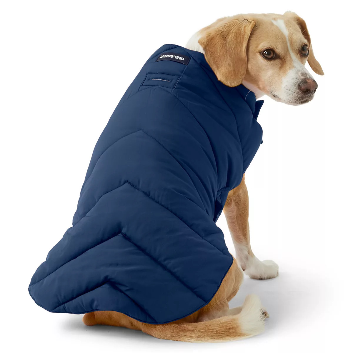 Lands' End Dog Solid Puffer Vest | Kohl's