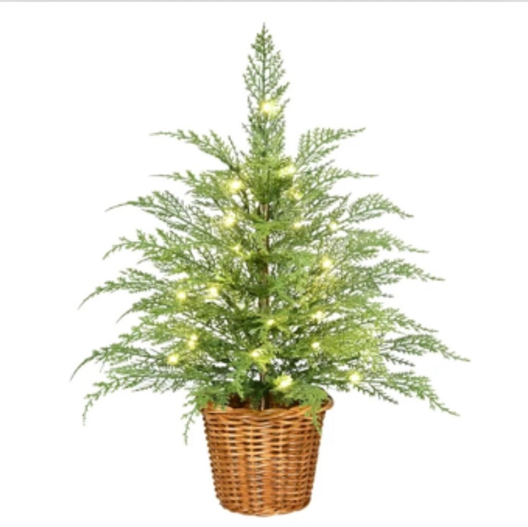 Back in stock for now! 

#LTKFindsUnder50 #LTKSeasonal #LTKHome