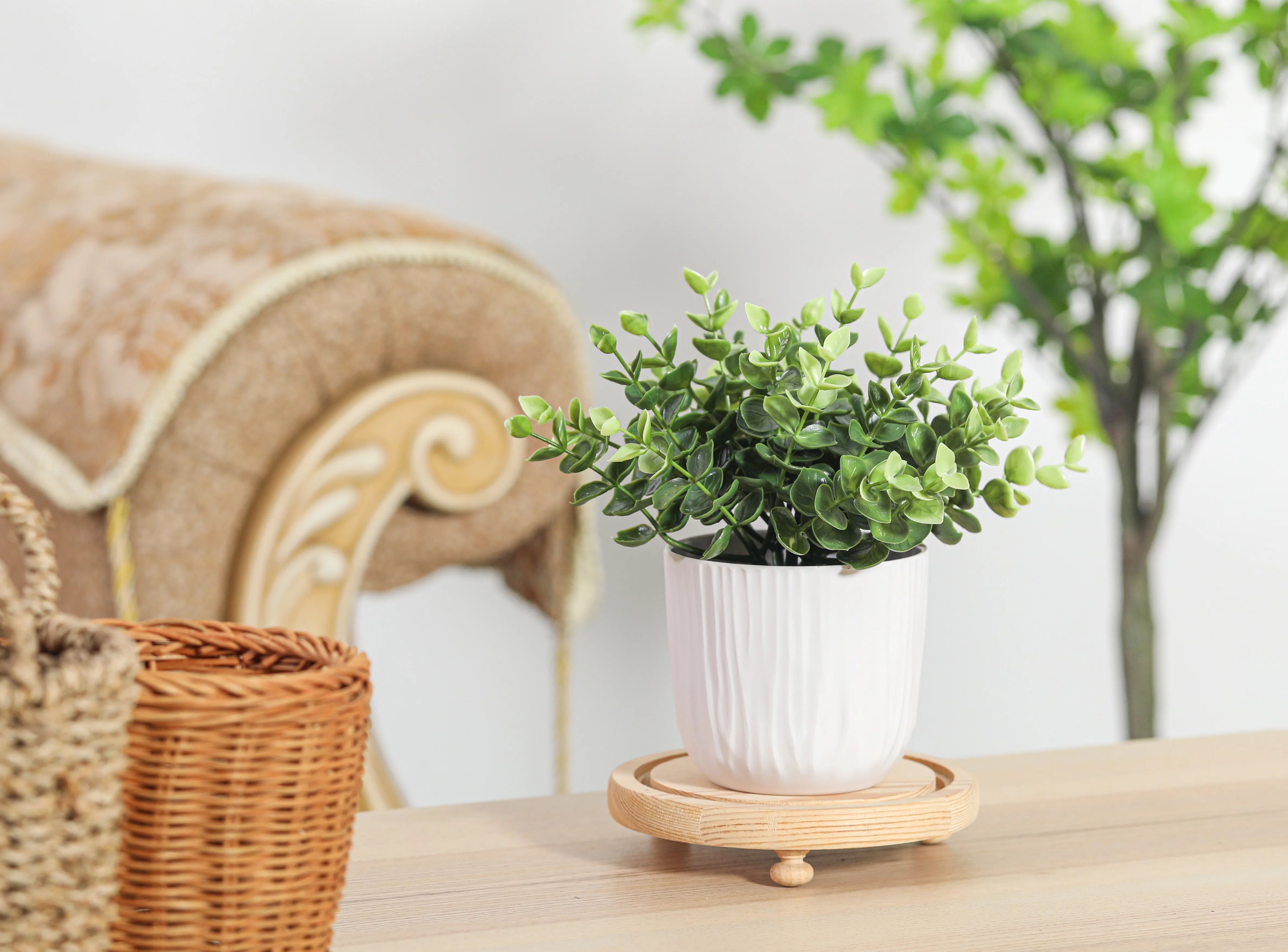 Mainstays 8" Tall Artificial potted Green Boxwood in White Pot | Walmart (US)