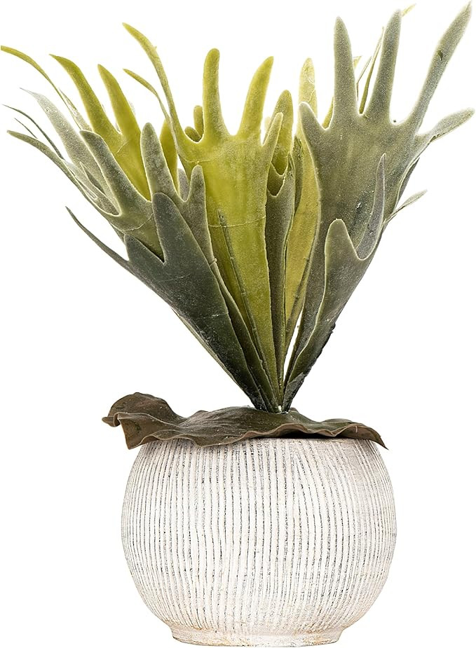 Creative Co-Op Distressed Cream Terracotta Planter with Fluted Texture | Amazon (US)