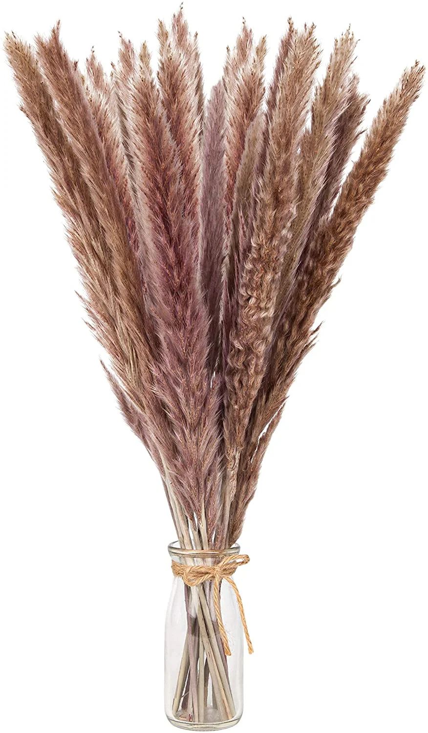 Natural Brown Dried Pampas Grass (30 Stems, 18") Pampas Flower Vase, Faux Pampas Grass Decor, Nat... | Walmart (US)