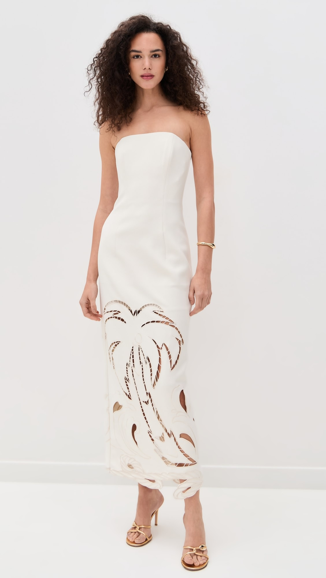 Ava Applique Bustier Maxi Dress | Shopbop