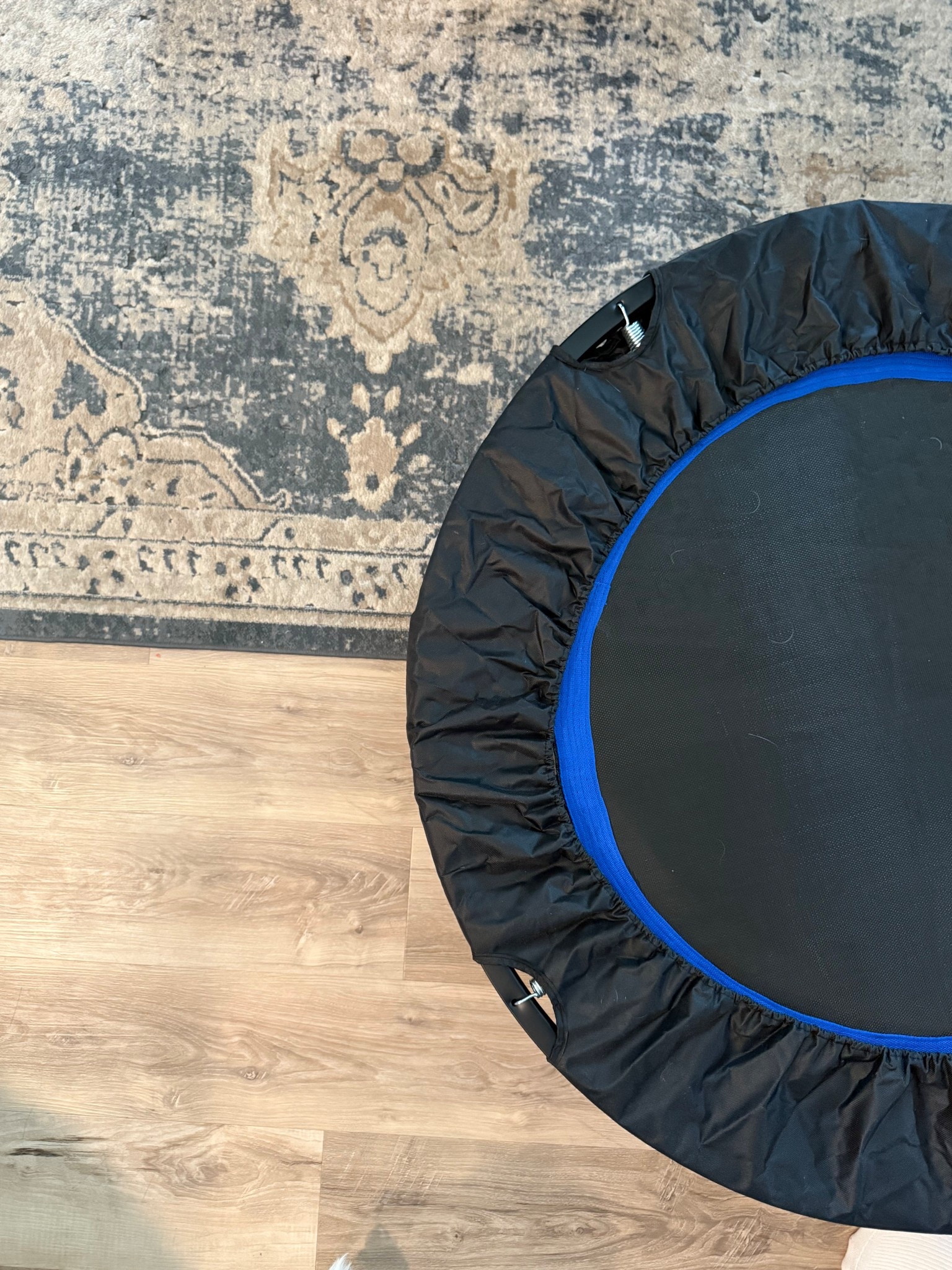 Lymphatic drainage, natural detox, wellness must haves, rebounding, health and wellness, postpartum recovery, Amazon finds 

#LTKHome #LTKActive #LTKU